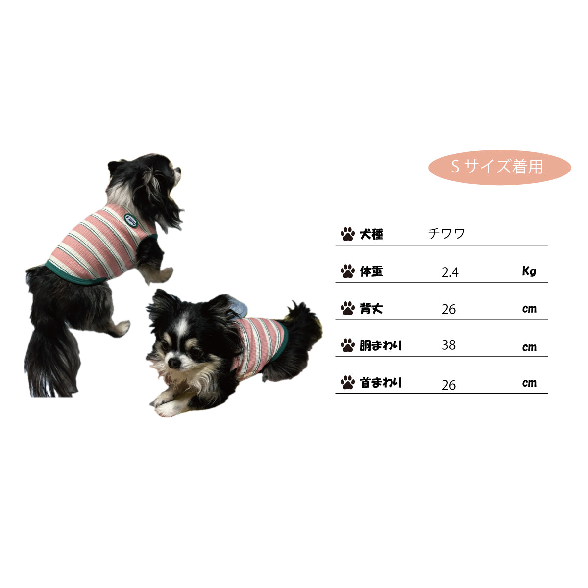 もちもちペットT