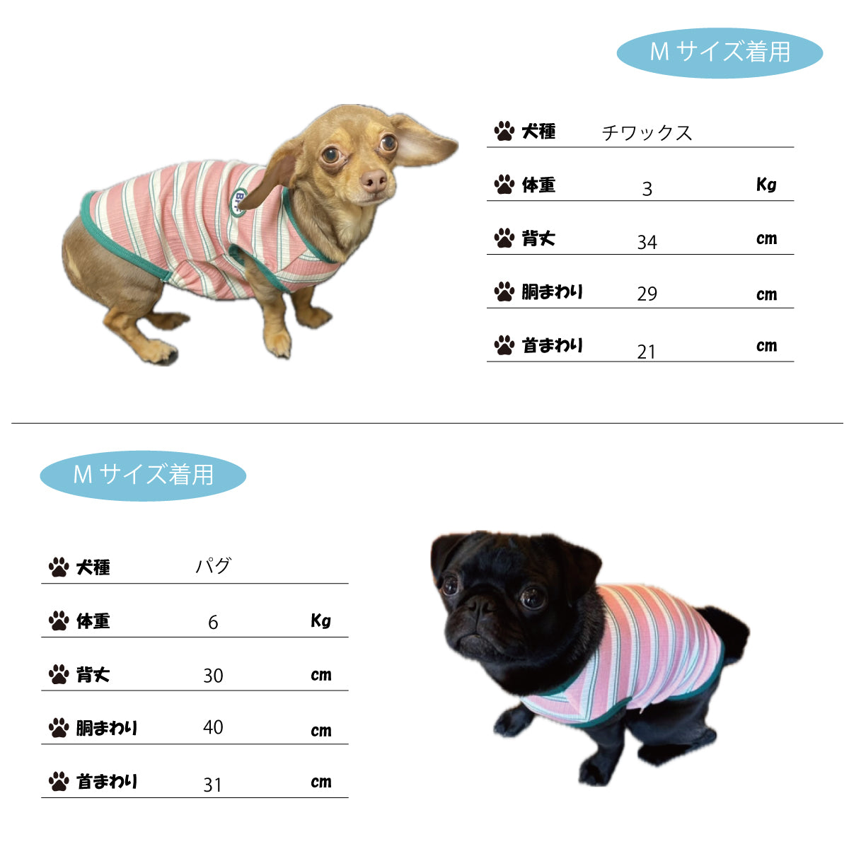 もちもちペットT