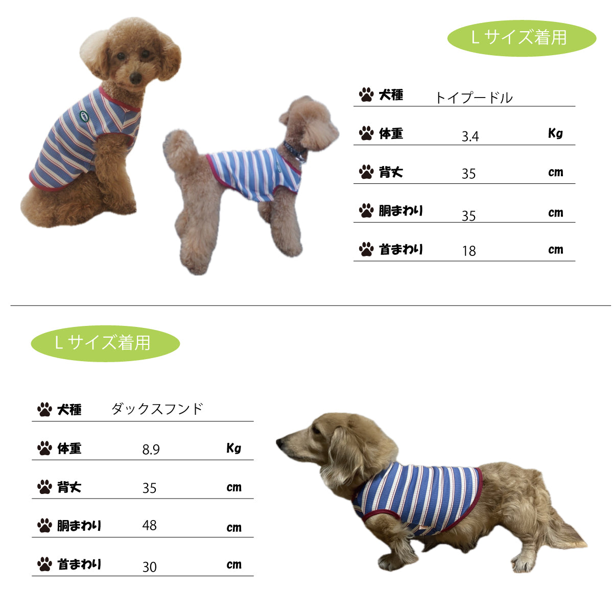 もちもちペットT