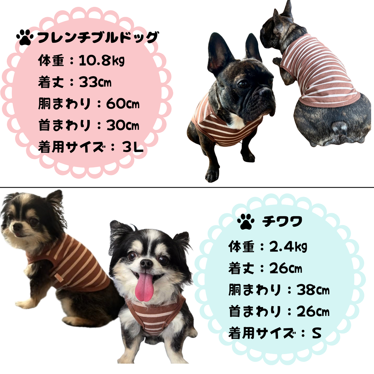 ボーダーペット服