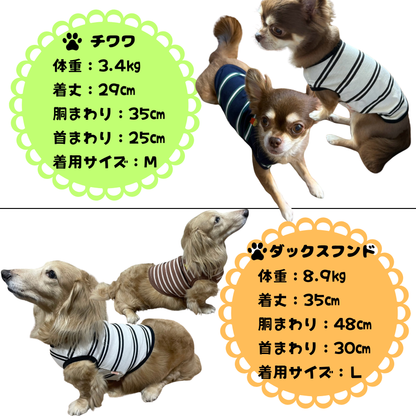 ボーダーペット服